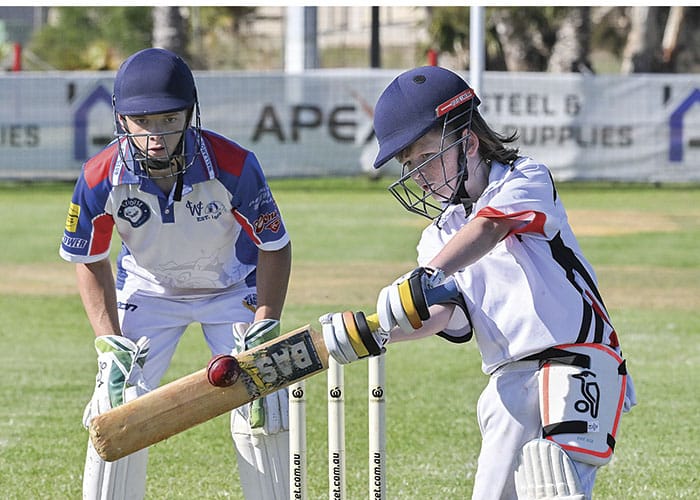 YP cricket roundup: Big hitters fire as bowlers claim handy wickets