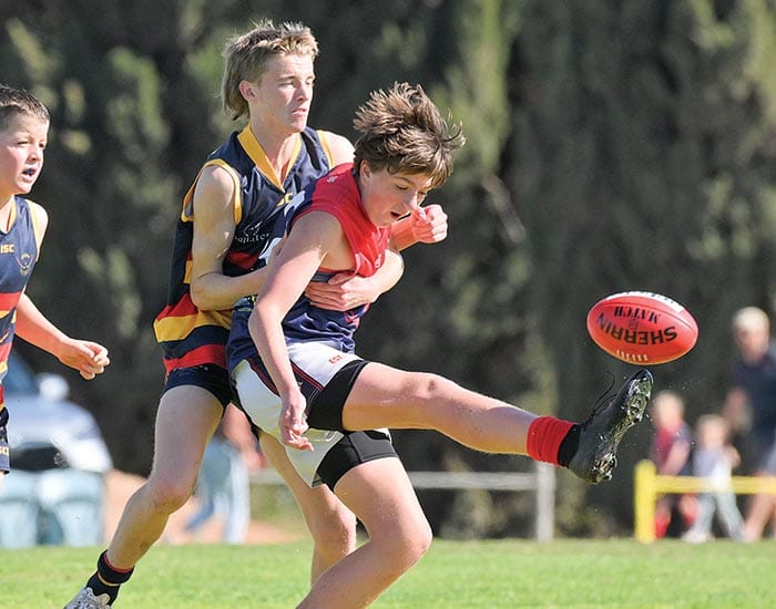 YPFL junior colts... Crows fly into junior colts decider