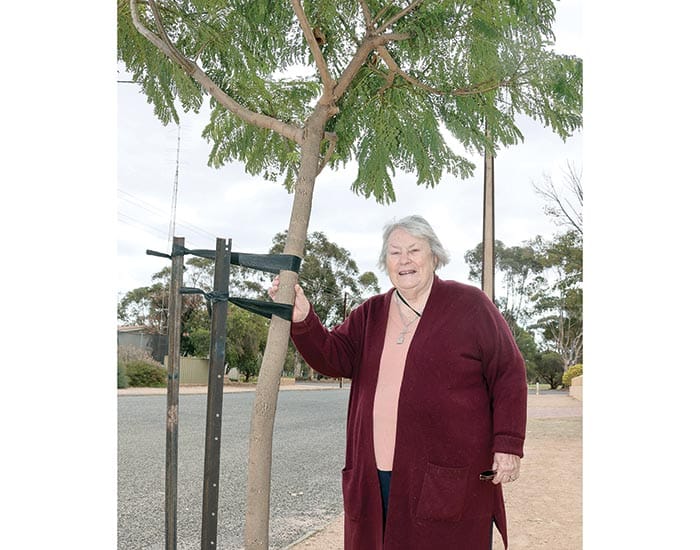 Copper Coast free tree program now open