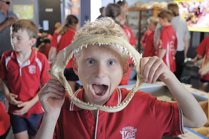 Students seek solutions to algae bloom