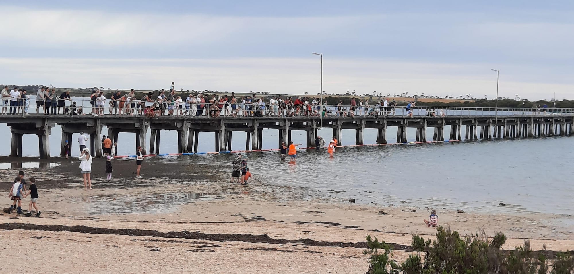 Ducks line up for October race