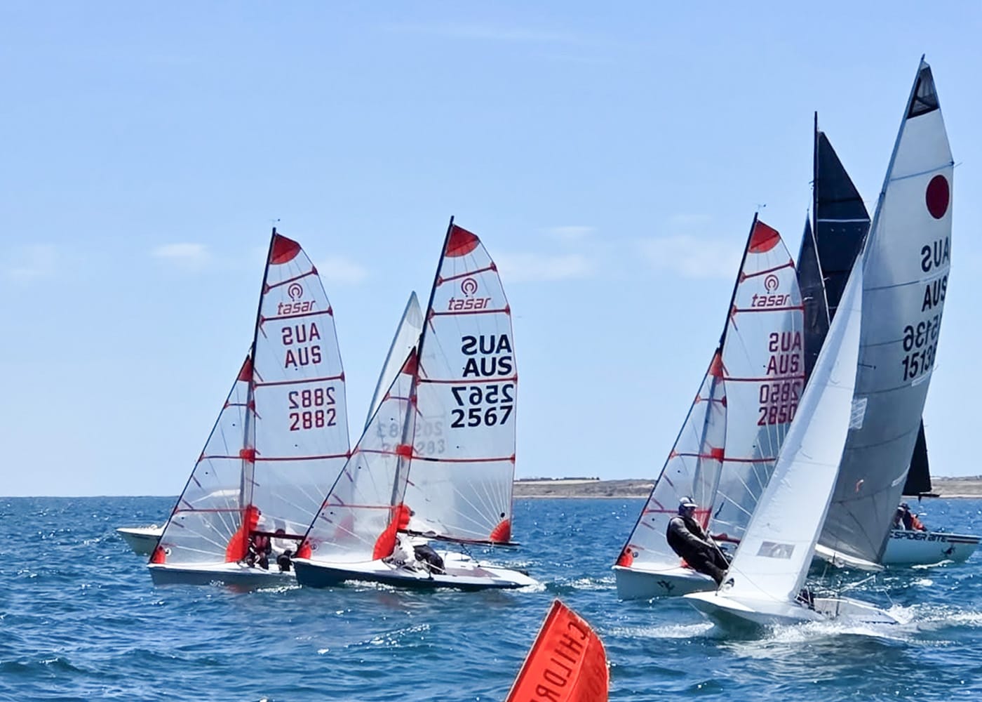 Beautiful Sunday for sailing