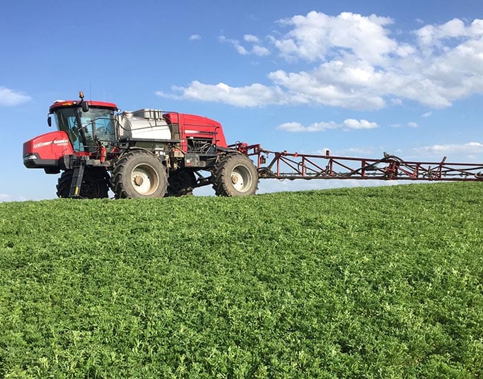 Take care with spring spraying