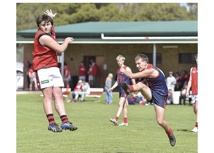 YPFL: Dees too good for Bloods