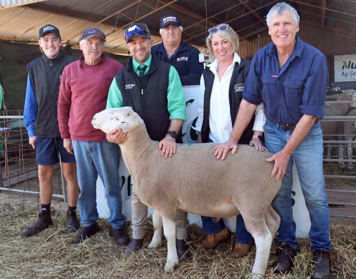 Full clearance and solid average at Jandebrey