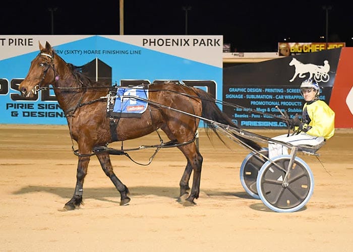 YP Harness Racing Club