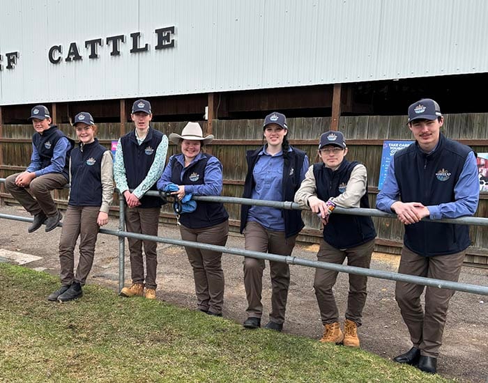 Steer success for Yorkes Ag Alliance