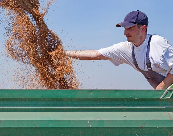 Farm safety campaign launched after spate of workplace deaths