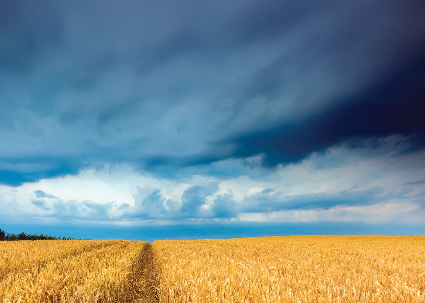 La Niña declared after wet and windy November