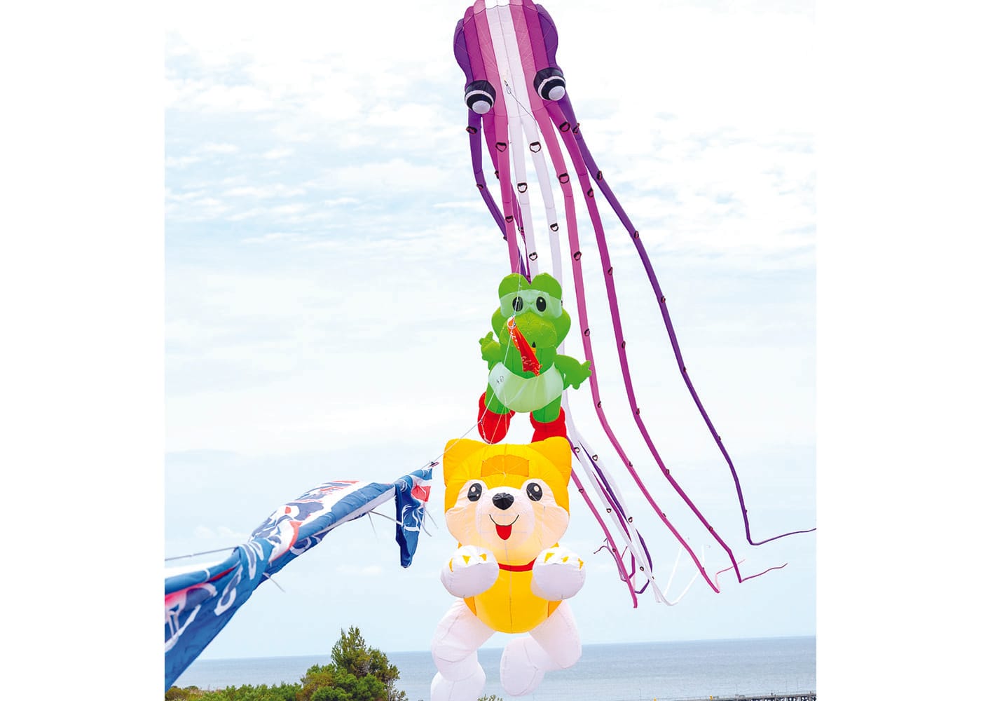 Kites fill Ardrossan skies for annual display