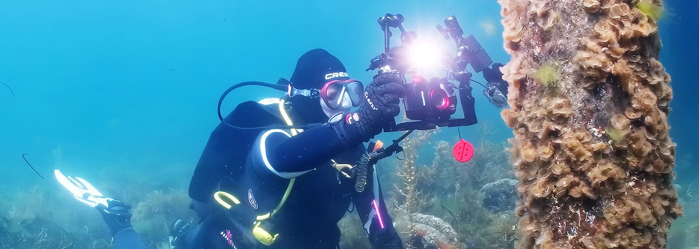 Monitoring our marine life