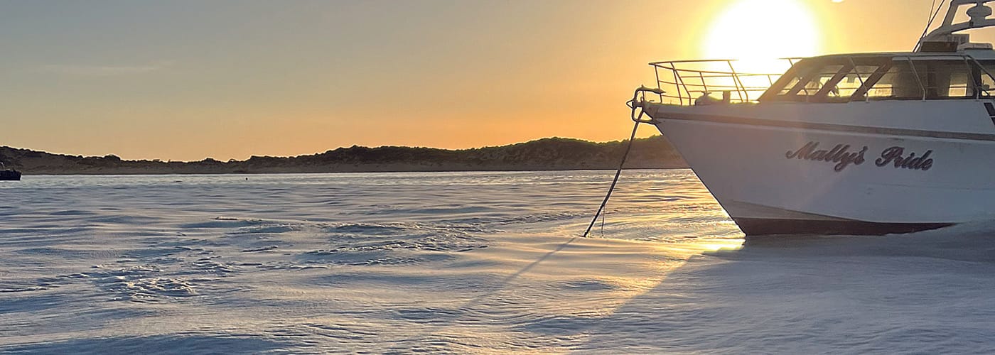 Algae foaming around Ponde