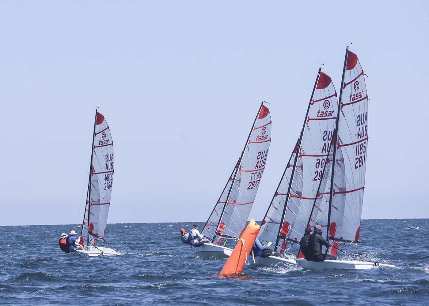 Big week of sailing in Wallaroo
