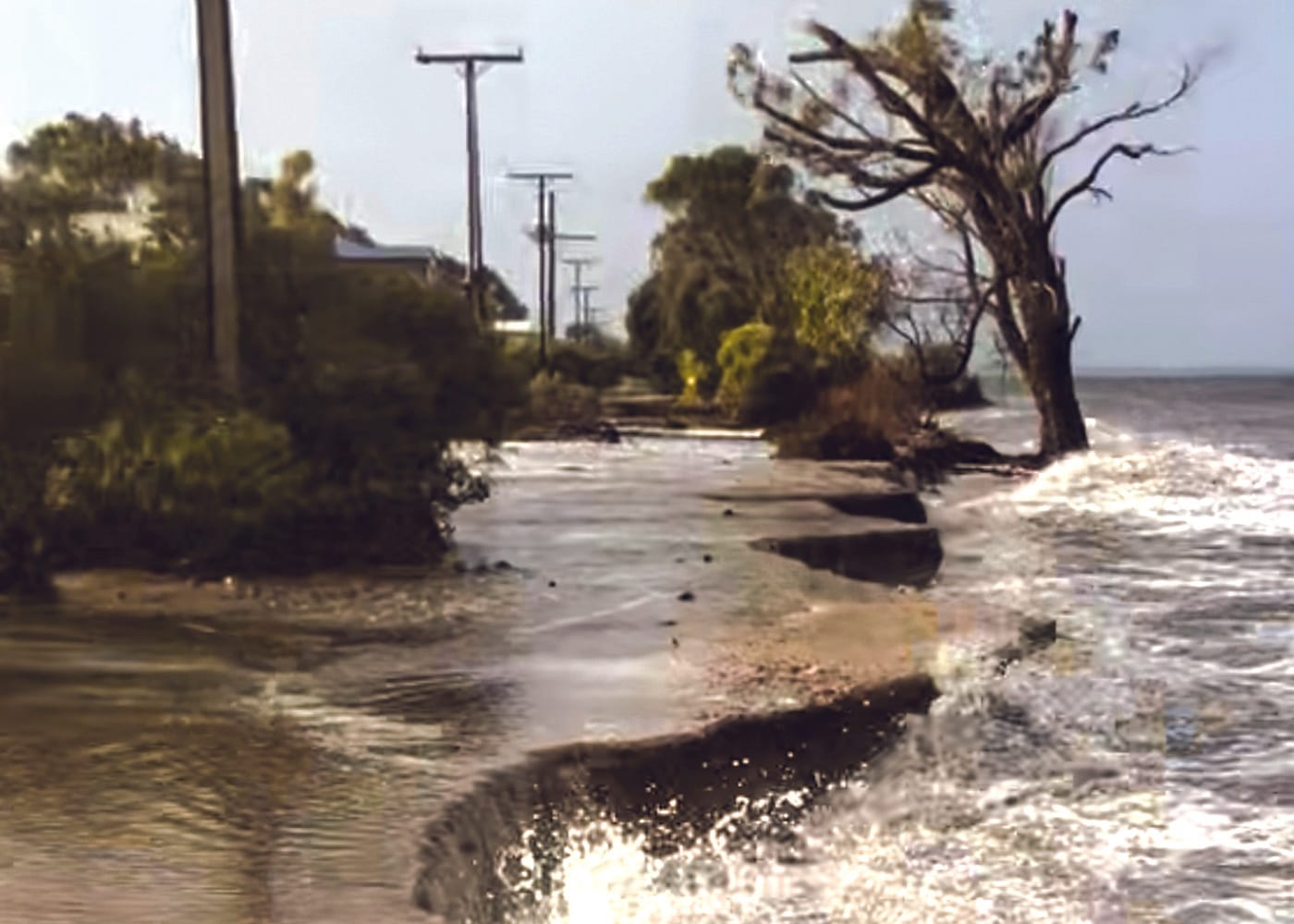 YPC successful in coastline grant