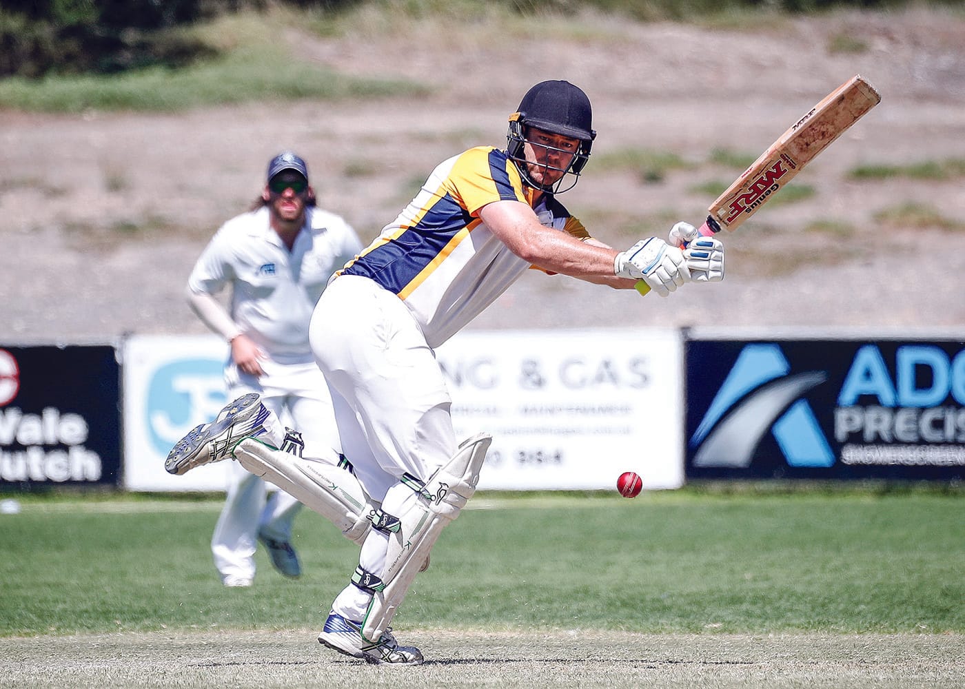 Cricket: Moss to again  lead senior  country side