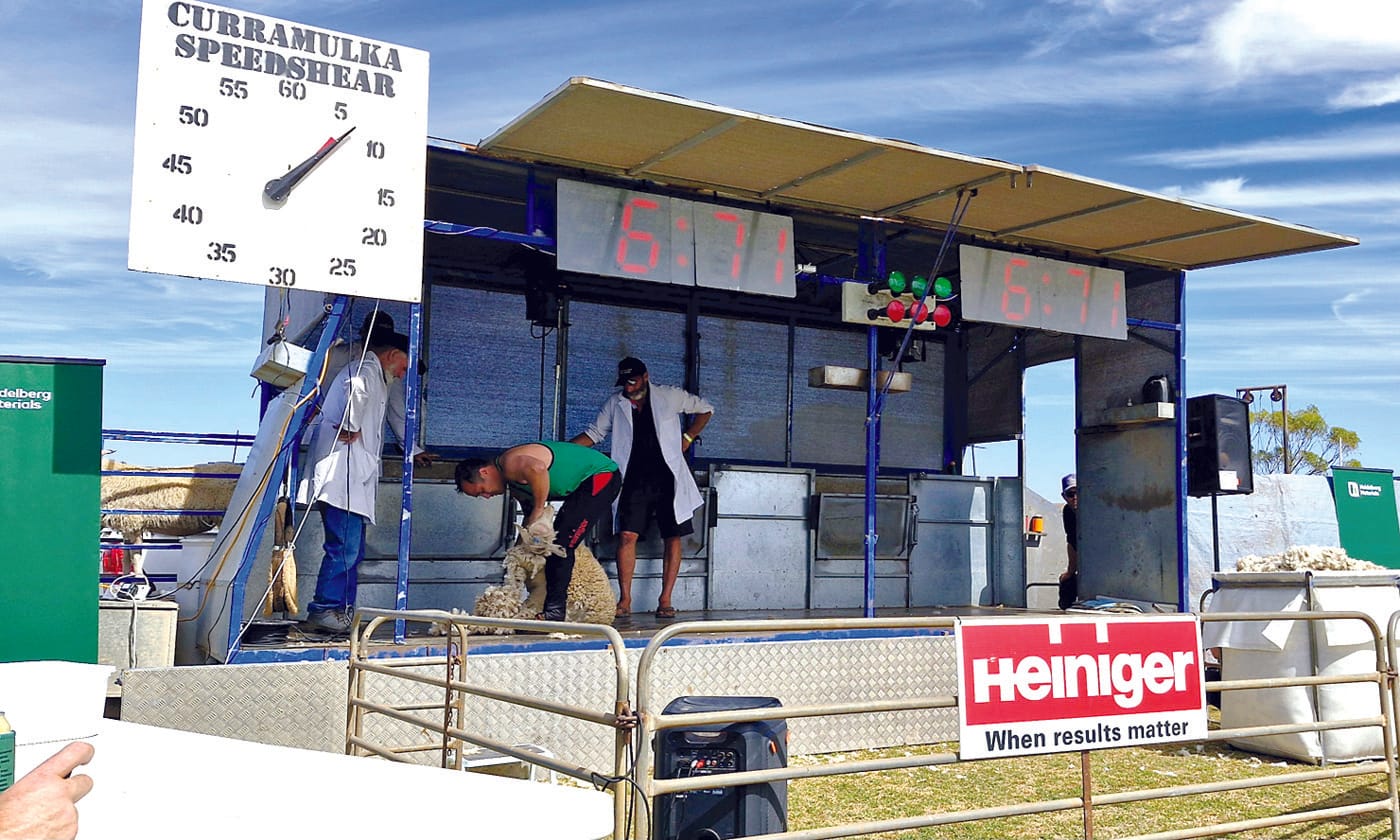 Shearers ready to flock to Curry for Speed Shear