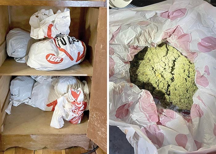 Police News... Mundoora man busted with 2.5kg of cannabis post image