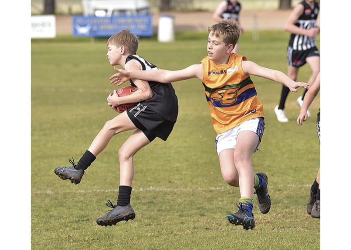 YPFL: Eagles win a nail-biter at Pasky post image