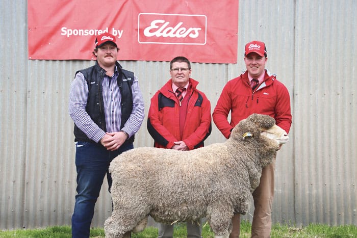 Orrie Cowie reaps rewards at sale post image