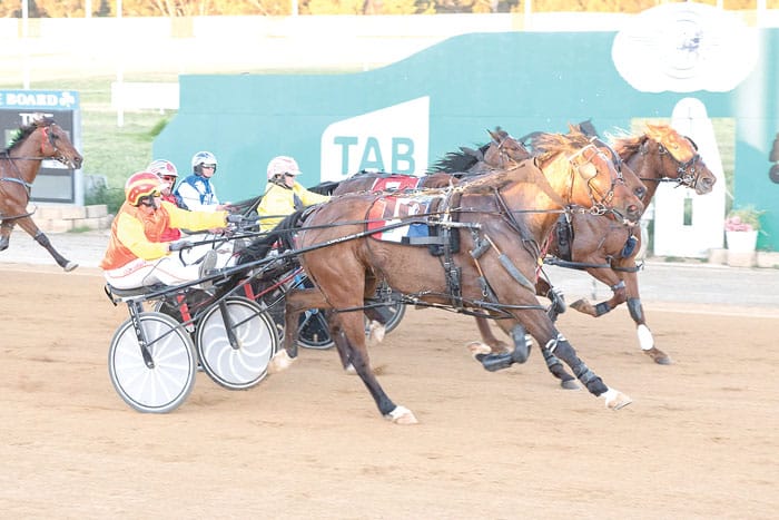 YP Harness Racing Club news post image