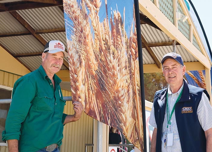 Agricultural Bureau of SA undergoes refresh post image