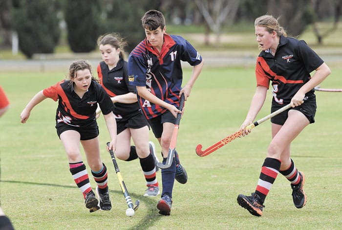 YP hockey scores and reports post image