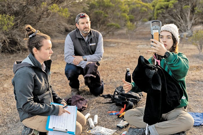 BABY BOOM - Bettong breeding a sign of success post image
