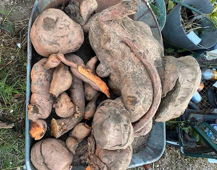 Sweet surprise post image