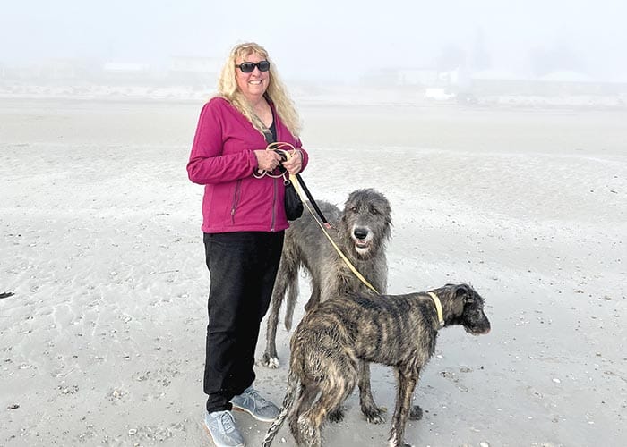 What the fog? post image