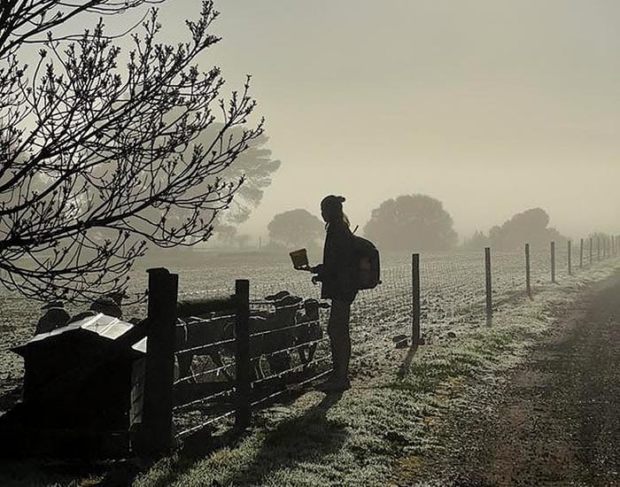 Foggy morning post image