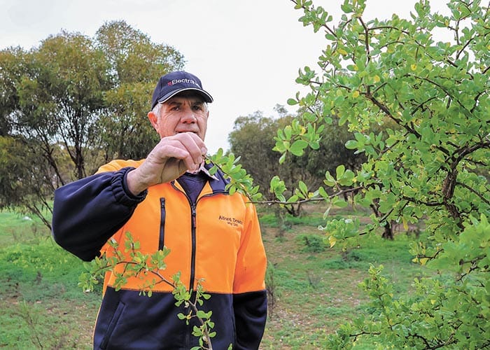 BWC questions value of landscape board post image