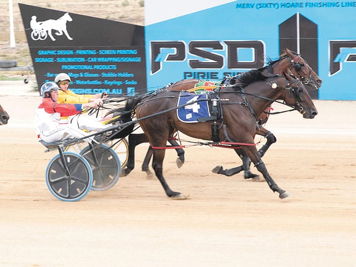 YP harness racing news post image