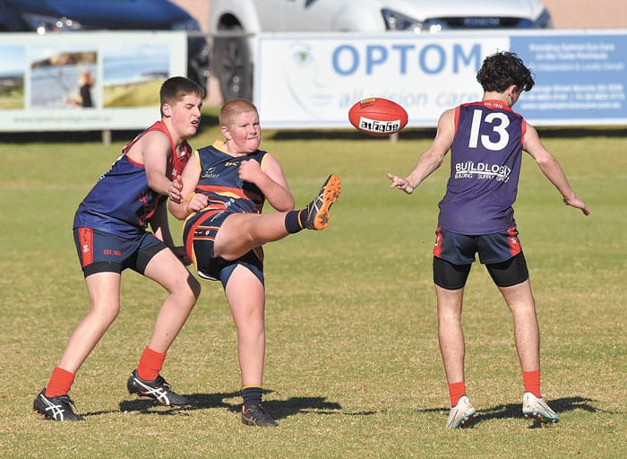 YPFL: Destructive Demons defeat Crows post image