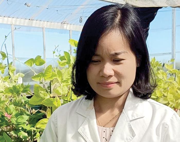 Growing better beans faster post image