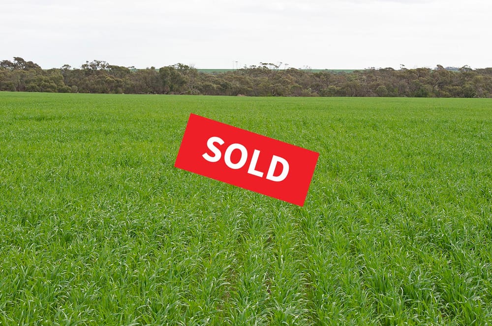 Auction draws another sale post image