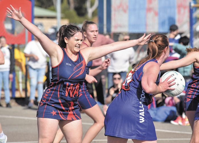 Yorke Peninsula netball scores and reports post image