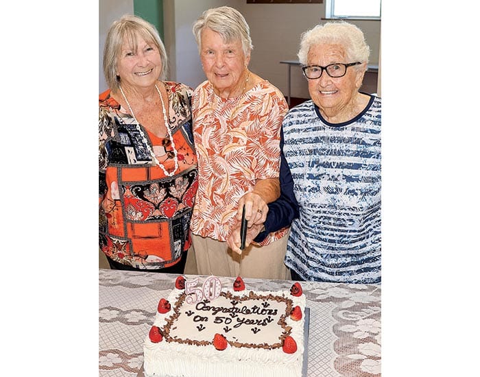 Half a century of fun post image