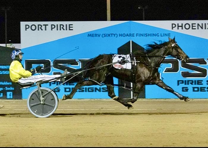 Coco Mia’s successful comeback post image