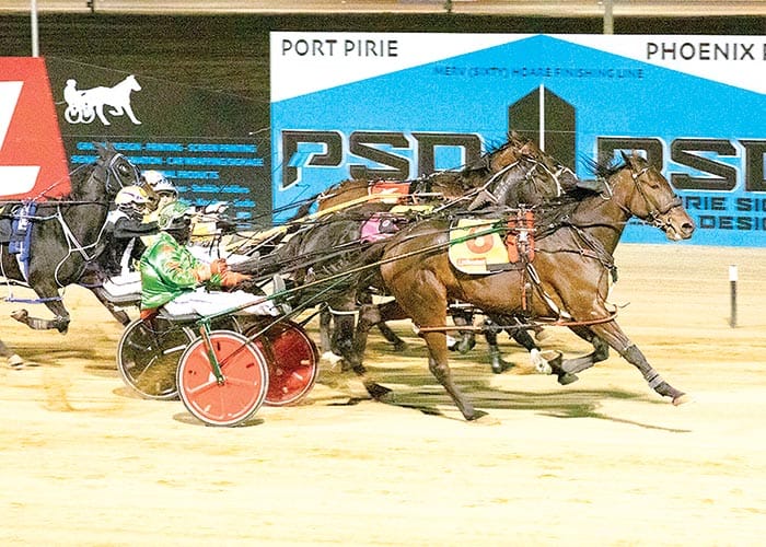 YP harness racing post image