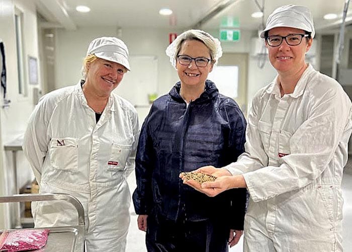 Facility ready to blow flies away post image