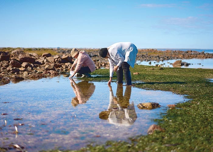 Saltbush Country art on show at Port Pirie post image