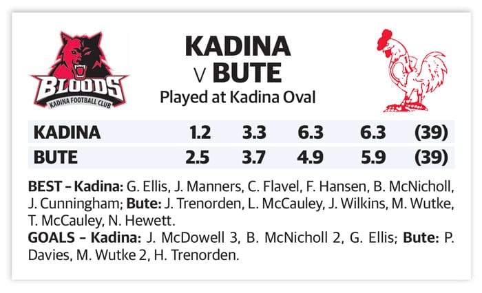 YPFL: Second draw for Bloods and Bute post image