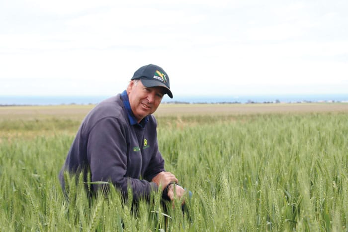 Showers bring crops growing hope post image
