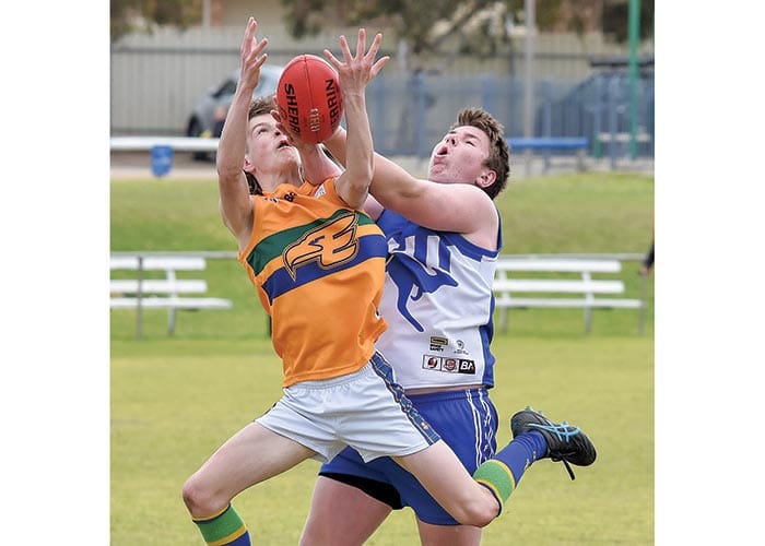 First quarter surge gives Eagles wings post image