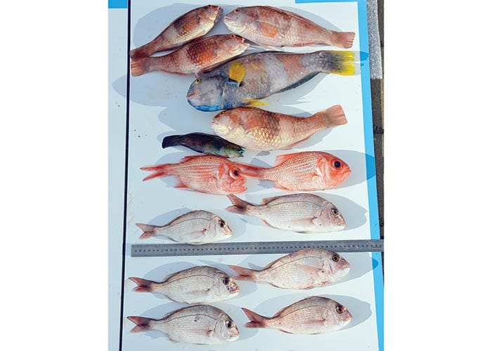 Police News... Caught out post image