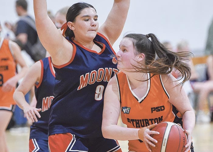 Yorke Valley basketball post image