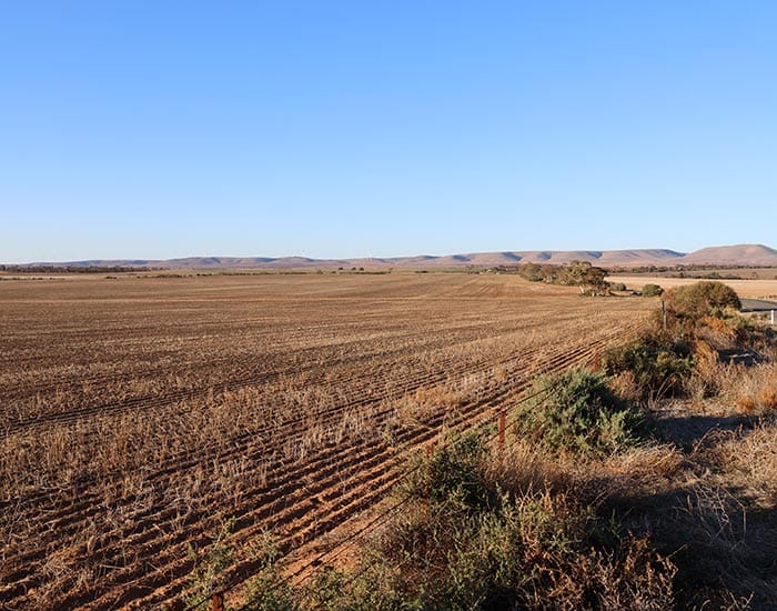 Farming, residential rates up post image