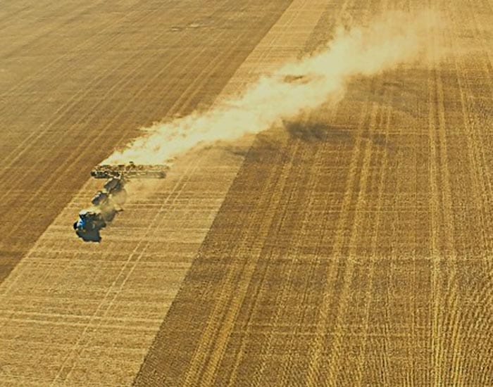 Harvest down for 2024-25 post image