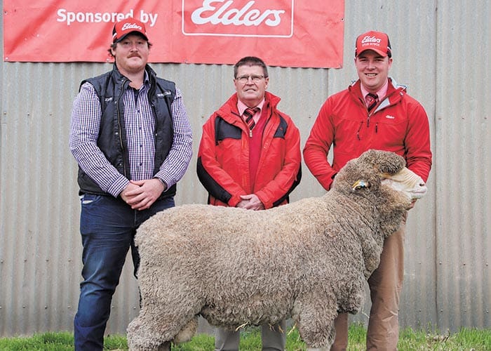 Orrie Cowie hosts 58th annual sale post image