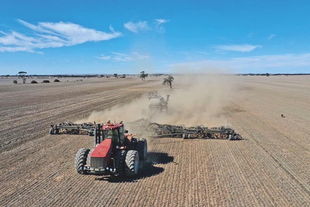 Dry start for seeding post image